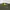 The North Face Flight Series Outdoor Trail Road Running Jers photo 2