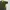 The North Face Flight Series Outdoor Trail Road Running Jers photo 4