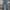 Levi's Vintage Casual Jeans Pria Blue
