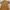 Kebaya Kutubaru Katun Bordir Emas Warna Kuning Gading photo 1