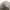 Fendi Luxury Casual Hat Wanita tan brown photo 8