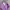 Vintage Casual Bomber jacket Pria purple photo 5