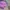 Vintage Casual Bomber jacket Pria purple photo 4