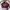 Cuoieria Fiorentina Red Genuine Leather Crossbody Bag Origin