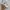 Nike Air Jordan Luxury Sportswear Sneakers Pria white photo 2