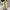 Salvatore Feragamo Vara Bow Patent Pumps Sage Original  photo 5
