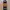 Santa Cruz Skateboards Skater Pria Red Black