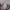 Manchester City F.C. 2024-25 4th Shirt photo 3