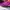 Keen Moxie Sandals Junior Walking Purple Pin Original  photo 7