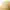 Carhartt Vintage Casual Hat Pria tan photo 7