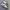 Nike cortez photo 3
