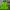 Japanese brand Luxury Biker Windbreaker Wanita green photo 1