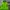 Japanese Brand Luxury Biker Windbreaker Wanita Green