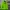 Japanese brand Luxury Biker Windbreaker Wanita green photo 2