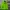Japanese Brand Luxury Biker Windbreaker Wanita Green