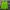 Japanese brand Luxury Biker Windbreaker Wanita green photo 3