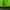Japanese brand Luxury Biker Windbreaker Wanita green photo 7
