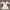 England Umbro Vintage Jersey