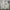 PPFM Vintage Casual Harrington jacket Pria cream photo 1