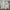 PPFM Vintage Casual Harrington Jacket Pria Cream