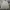 PPFM Vintage Casual Harrington Jacket Pria Cream