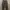 Thanksinsomnia Skater Casual pants Pria tan black photo 3