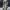 Cargo pants photo 7