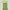 Retro Striped Knit Dress - Yellow/Green Preloved photo 1