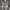 Minimalist Sneakers Pria gray photo 2
