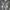 Minimalist Sneakers Pria Gray