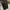Prada Vitello Daino Leather photo 7