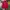 ADIDAS TRACKTOP BIG LOGO TAPPED NOT FIREBIRD photo 2