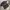 Jersey Club England Fc Arsenal Emirates Fly Better Colour Bl photo 3