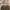 Burberry Luxury Casual Casual shirt Pria multicolor tan photo 5