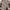 Burberry Luxury Casual Casual shirt Pria multicolor tan photo 4