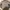 Burberry Luxury Casual Casual shirt Pria multicolor tan photo 1