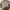 Burberry Luxury Casual Casual Shirt Pria Multicolor Tan