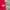 Reebok Casual Jersey Pria white red photo 4