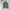 TURTLENECK IMPOR photo 1