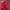 Ferrari Vintage Jacket Michael Schumacher F1 Team 2000s photo 1