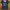 lee graphic photo 2