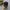 MLB Streetwear Sportswear Hat Pria black photo 1