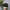 MLB Streetwear Sportswear Hat Pria black photo 4
