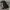 NIKE SB “just do it” woven short photo 1