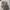 Dickies Streetwear Casual Casual pants Pria silver photo 5