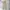 Dickies Y2K Casual Casual pants Pria khaki photo 1