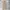 Dickies Y2K Casual Casual pants Pria khaki photo 2