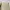 Dickies Y2K Casual Casual pants Pria khaki photo 5