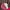 Pink Hat Y2K