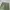 Vintage Avant Garde Casual pants Pria green photo 5